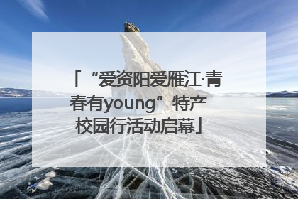 “爱资阳爱雁江·青春有young”特产校园行活动启幕